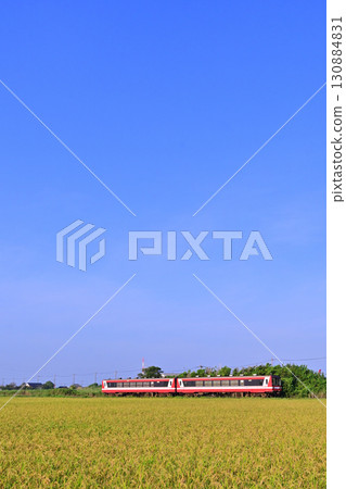 鹿島臨海鐵道6000型柴油列車在秋季收穫的季節穿梭於鄉村 鹿島臨海鐵道6000型柴油列車在秋季收穫的季節穿梭於鄉村 130884831