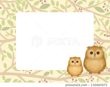 Owl Frame A Owl Frame A 130884875