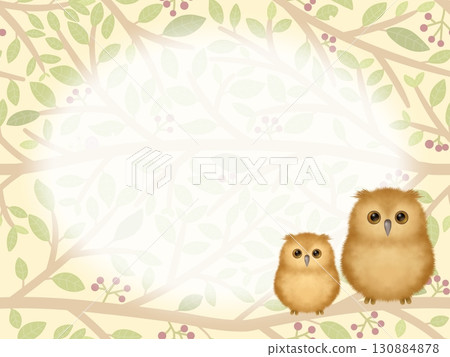 Owl background B 130884878