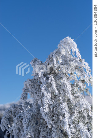 Rime and blue sky 130884884