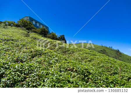 [Japan's 100 Famous Mountains] Mount Tsurugi: View of the summit and summit hut from the hiking trail in midsummer, Miyoshi City, Tokushima Prefecture 130885132