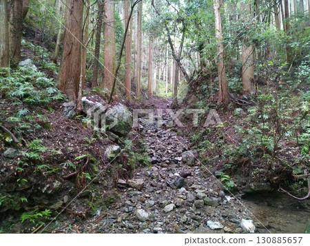 A stream flowing through the Amanoiwato Forest in Shima City (September) A stream flowing through the Amanoiwato Forest in Shima City (September) 130885657
