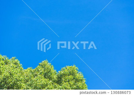夏日風景:藍天與山樹 05 夏日風景:藍天與山樹 05 130886073