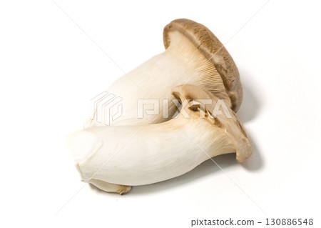 king oyster mushroom king oyster mushroom 130886548