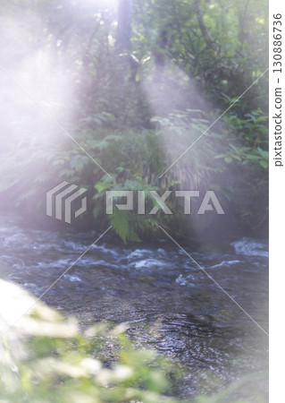 A scene of light shining on a clear stream in the forest - Oyamakiyazawa mountain stream 130886736