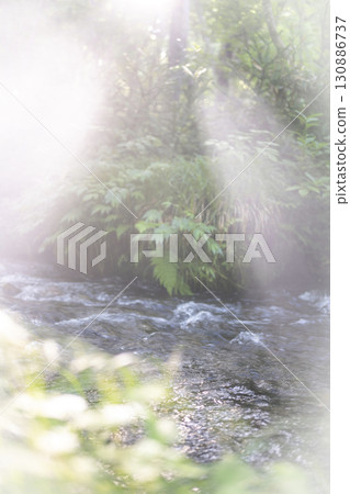 A scene of light shining on a clear stream in the forest - Oyamakiyazawa mountain stream 130886737