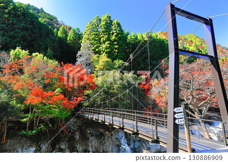 [大分縣] 晴天猿飛仙坪峽谷的紅葉（奧屋馬溪） 130886909