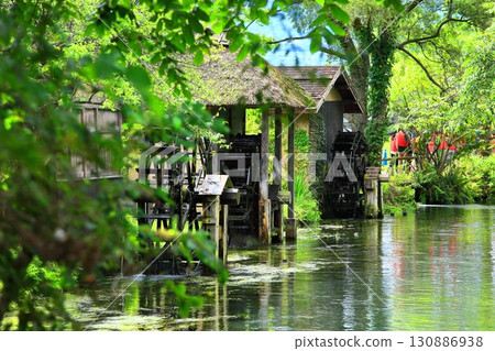 [Nagano Prefecture] Waterwheel at Daio Wasabi Farm (Tadegawa River) 130886938