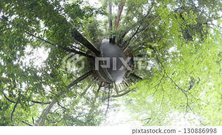 透過魚眼鏡頭看到的新綠神社 130886998