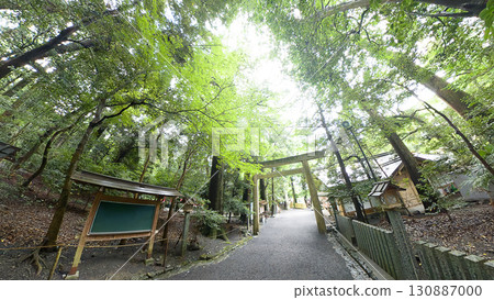 透過魚眼鏡頭看到的新綠神社 130887000