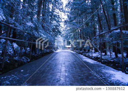 The approach to Yahiko Shrine is surrounded by snow-covered trees 130887612