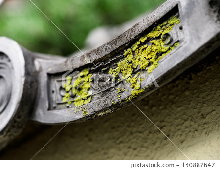 舊瓦片上長滿黃色苔蘚|日式建築的紋理,散發著歲月的氣息 舊瓦片上長滿黃色苔蘚|日式建築的紋理,散發著歲月的氣息 130887647