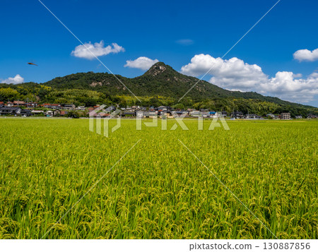 A rural landscape at the foot of Shiroyama (rocky mountain) in Gohara-cho, Kure City, Hiroshima Prefecture, where a damselfly flies. A rural landscape at the foot of Shiroyama (rocky mountain) in Gohara-cho, Kure City, Hiroshima Prefecture, where a damselfly flies. 130887856