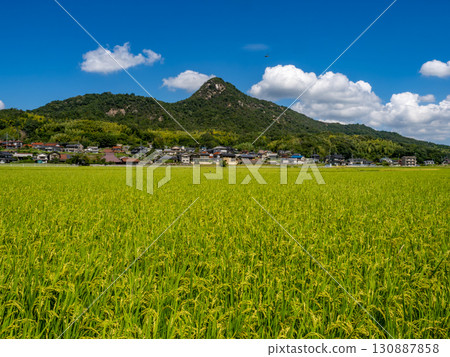 廣島縣吳市鄉原町城山腳下的田園風光,一隻豆娘在那裡飛舞。 廣島縣吳市鄉原町城山腳下的田園風光,一隻豆娘在那裡飛舞。 130887858