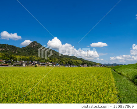 A rural landscape at the foot of Shiroyama (rocky mountain) in Gohara-cho, Kure City, Hiroshima Prefecture, where a damselfly flies. A rural landscape at the foot of Shiroyama (rocky mountain) in Gohara-cho, Kure City, Hiroshima Prefecture, where a damselfly flies. 130887869