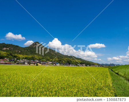 A rural landscape at the foot of Shiroyama (rocky mountain) in Gohara-cho, Kure City, Hiroshima Prefecture, where a damselfly flies. A rural landscape at the foot of Shiroyama (rocky mountain) in Gohara-cho, Kure City, Hiroshima Prefecture, where a damselfly flies. 130887873