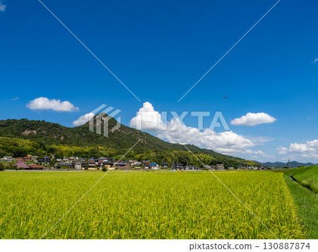 A rural landscape at the foot of Shiroyama (rocky mountain) in Gohara-cho, Kure City, Hiroshima Prefecture, where a damselfly flies. A rural landscape at the foot of Shiroyama (rocky mountain) in Gohara-cho, Kure City, Hiroshima Prefecture, where a damselfly flies. 130887874