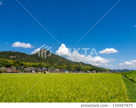 A rural landscape at the foot of Shiroyama (rocky mountain) in Gohara-cho, Kure City, Hiroshima Prefecture, where a damselfly flies. A rural landscape at the foot of Shiroyama (rocky mountain) in Gohara-cho, Kure City, Hiroshima Prefecture, where a damselfly flies. 130887875