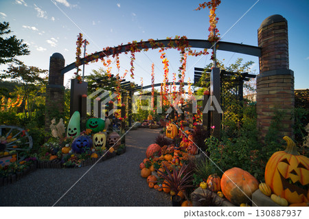 Halloween at Nagaoka Hills Park, decorated with colorful pumpkins and autumn decorations 130887937