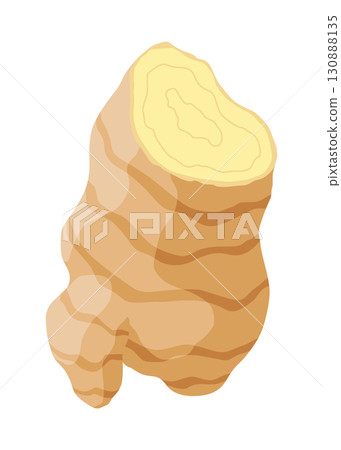 Ginger root. Aromatic herbal spice. Food ingredient, natural herb plant, sliced. Fresh and raw vegetable in cartoon flat style. Vector illustration isolated on white background 130888135