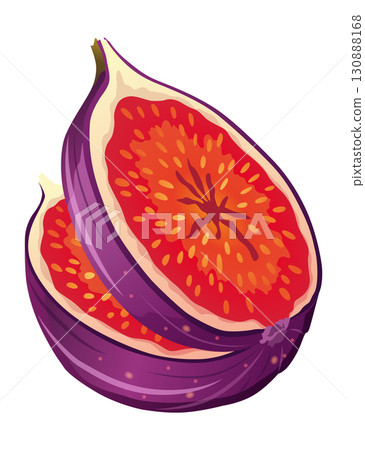 Fig Fruit Cut with Thin Skin and Many Small Seeds Inside Vector Fig Fruit Cut with Thin Skin and Many Small Seeds Inside Vector 130888168