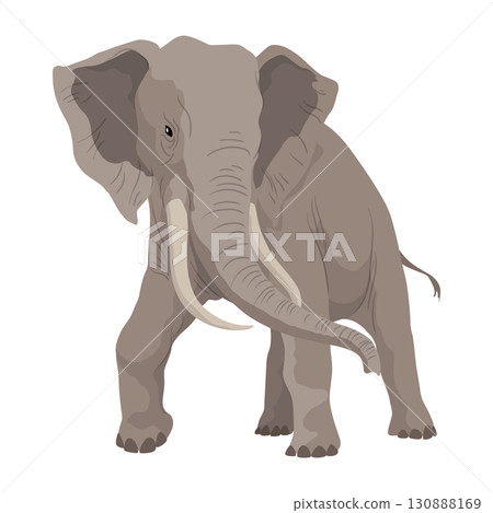 Flat vector elephant in poses African of Asian animal with large ears and long trunk. Wildlife theme Flat vector elephant in poses African of Asian animal with large ears and long trunk. Wildlife theme 130888169