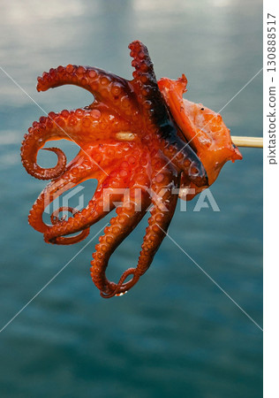 Grilled octopus tentacle on a skewer Grilled octopus tentacle on a skewer 130888517