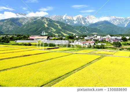 Happo-one (Hakuba Happo-one Ski Resort) - View of Mt. Hakuba (Hakuba Sanzan) (Hakuba Village, Nagano Prefecture) [September 2025] 130888690