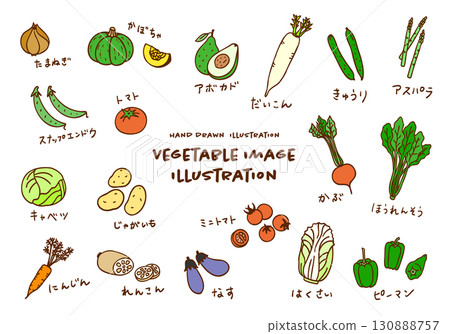 Cute hand-drawn vegetable image color illustration set Cute hand-drawn vegetable image color illustration set 130888757