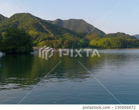 8月西舞鶴平靜的海山風光 8月西舞鶴平靜的海山風光 130888872