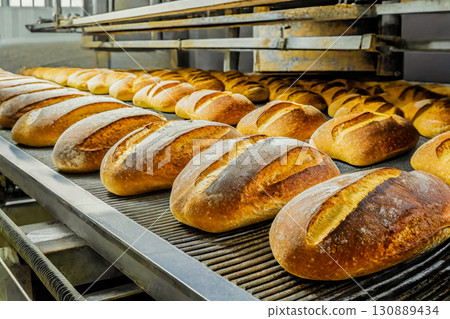 Using an automated conveyor belt oven in bakery, fresh bread can be produced Generation AI 130889434