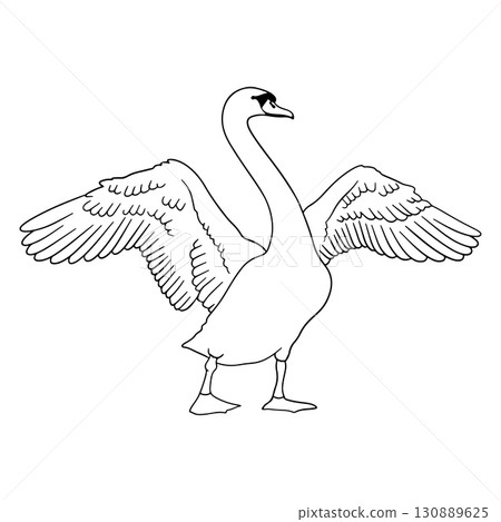 Monochrome hand drawn elegant swan clip art 130889625