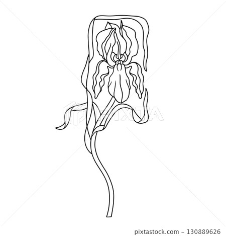 Monochrome art nouveau style modern hand drawn iris flowers clip art 130889626