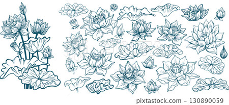 Set of Composition of Lotus Flowers and Floral Elements Set of Composition of Lotus Flowers and Floral Elements 130890059