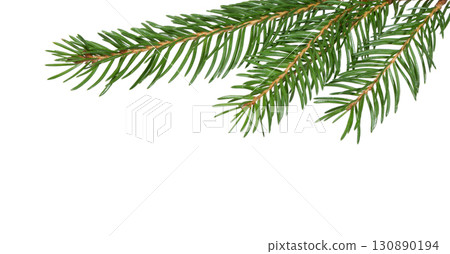 Christmas Fir branch. christmas tree. 130890194