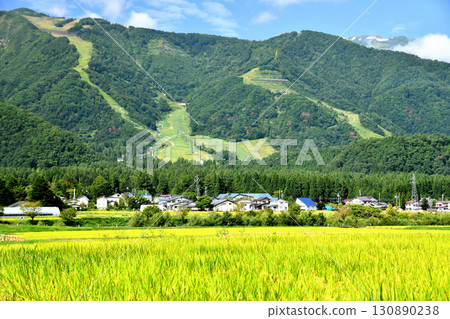 View of Hakuba Goryu Ski Resort (Hakuba Village, Nagano Prefecture) [September 2025] 130890238