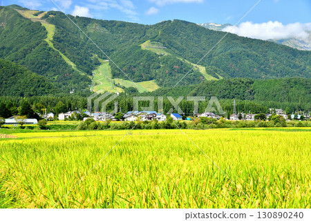 白馬五龍滑雪場景觀（長野縣白馬村）[2025年9月] 130890240