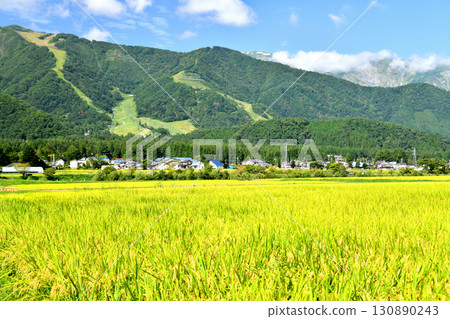 白馬五龍滑雪場景觀（長野縣白馬村）[2025年9月] 130890243