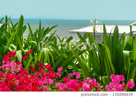Bright pink bougainvillea flowers bloom in foreground, framing a serene view of lush green foliage and tranquil ocean under clear blue sky, evoking sense of peaceful summer vacation by the sea Bright pink bougainvillea flowers bloom in foreground, framing a serene view of lush green foliage and tranquil ocean under clear blue sky, evoking sense of peaceful summer vacation by the sea 130890839