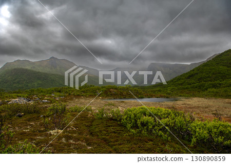 Rural Landscape With Tundra And Mountains On Andoya Island Of Lofoten In Norway 130890859