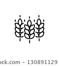 Vector farm wheat ears icon template. Line whole grain symbol illustration for organic eco business, agriculture, beer, bakery. Gluten free logo background 130891129