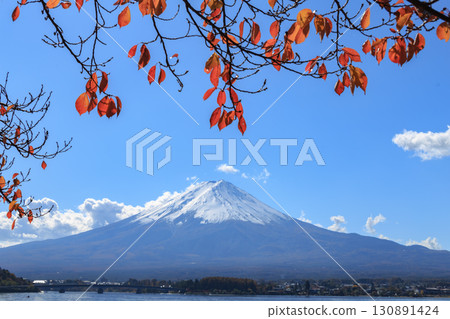 Mt. Fuji in autumn seen from Lake Kawaguchi 130891424