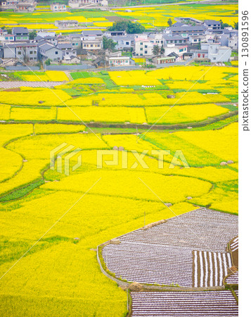 Wanfeng Forest in spring, Guizhou Province, China Wanfeng Forest in spring, Guizhou Province, China 130891596