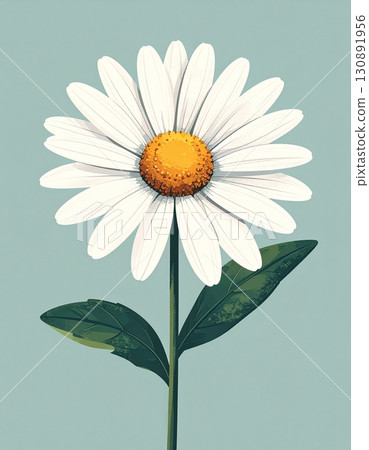 Daisy flower simple illustration 130891956