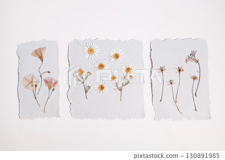 Three handmade paper pieces with pressed dried flowers and leaves, creating unique botanical display. Three handmade paper pieces with pressed dried flowers and leaves, creating unique botanical display. 130891985