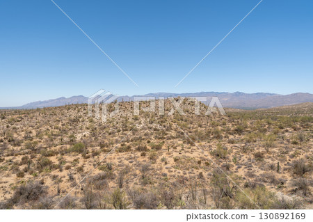Vast Saguaro cactus landscape, Saguaro National Park, Arizona Vast Saguaro cactus landscape, Saguaro National Park, Arizona 130892169