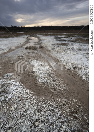 Saltpeter on the floor of a lagoon in a semi desert environment, La Pampa province, Patagonia, Argentina. 130892593