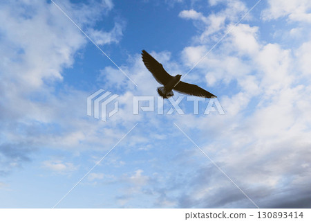 飛在天空中飛翔 130893414