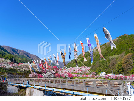 Hanamomo no Sato, Achi Village, Nagano Prefecture 130893557