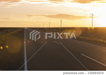 Route in the Pampas plain, Patagonia, Argentina 130893819